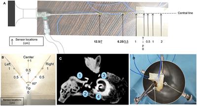 Thermal Safety of Endoscopic Usage in Robot-Assisted Middle Ear Surgery: An Experimental Study